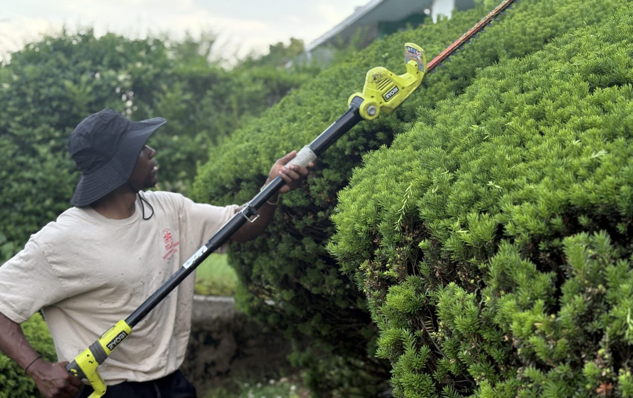 Trimming Shrubs